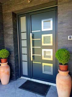 Alumimune Door2